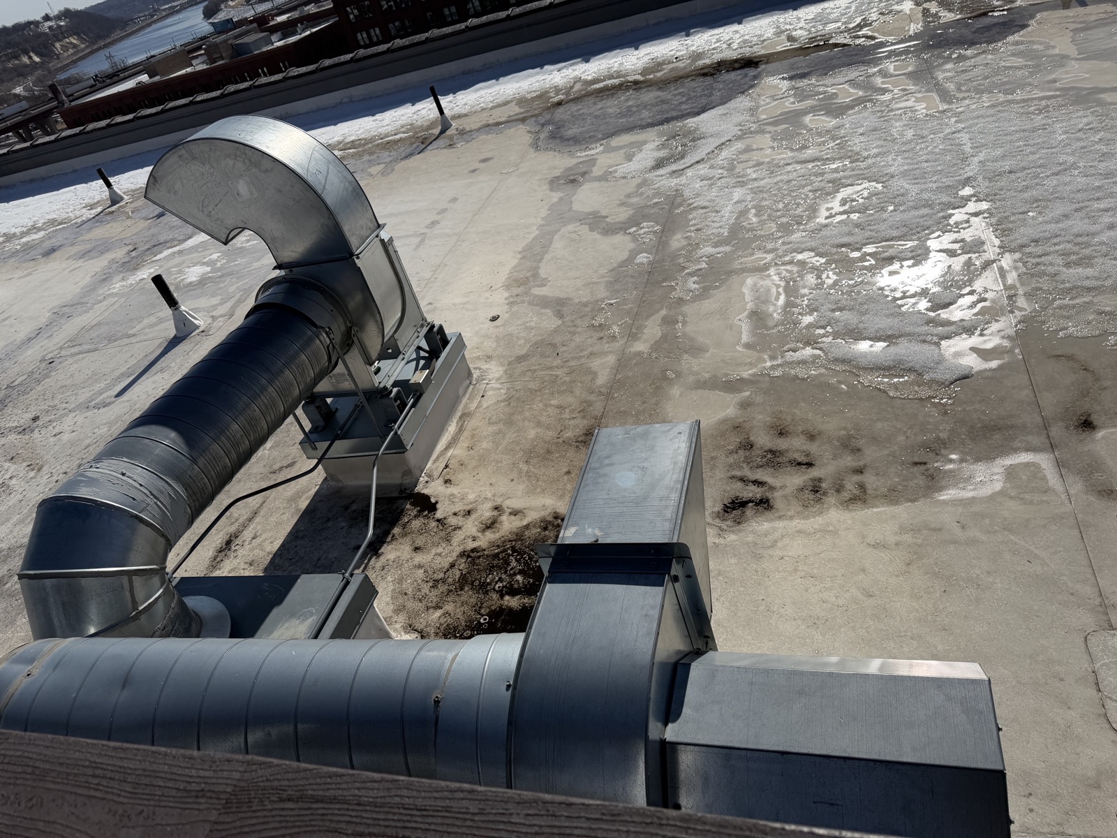 Roof - 4